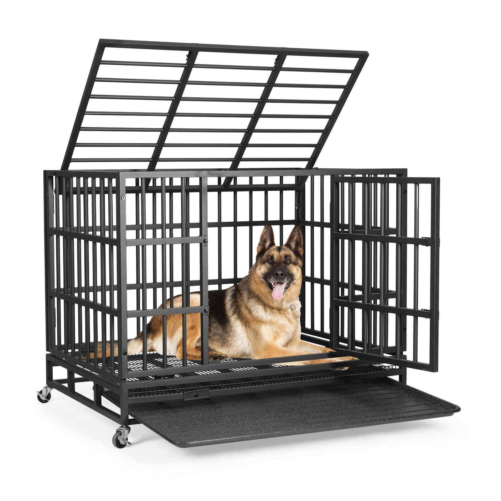 Pads for dog crates indestructible shops